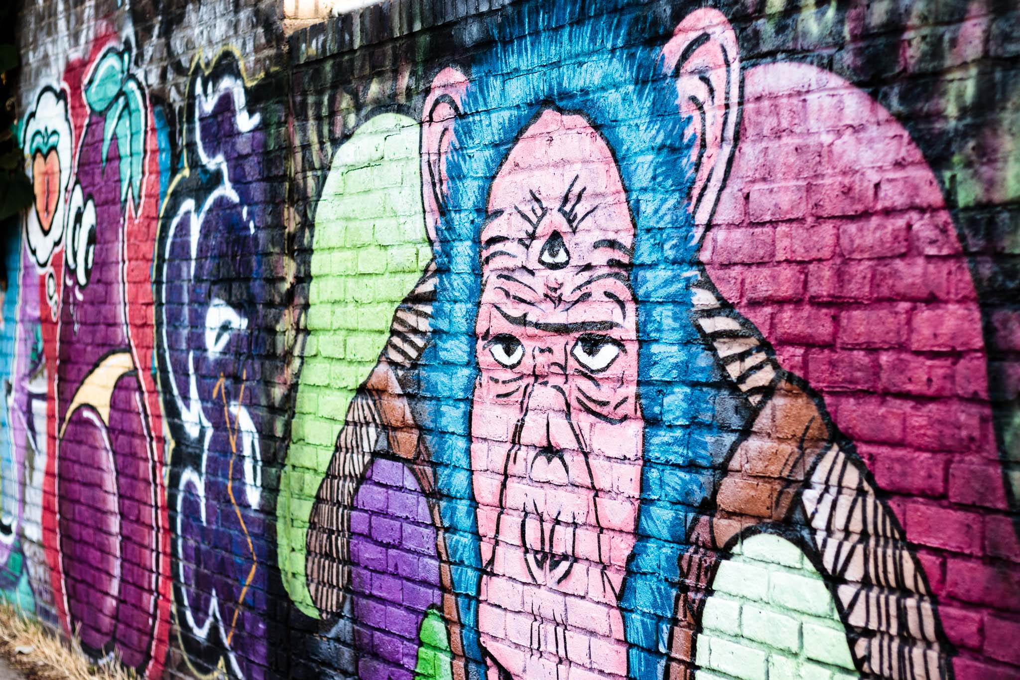 Taken on a canal near Victoria Park, London.